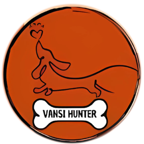 Logo da Vansi Hunter